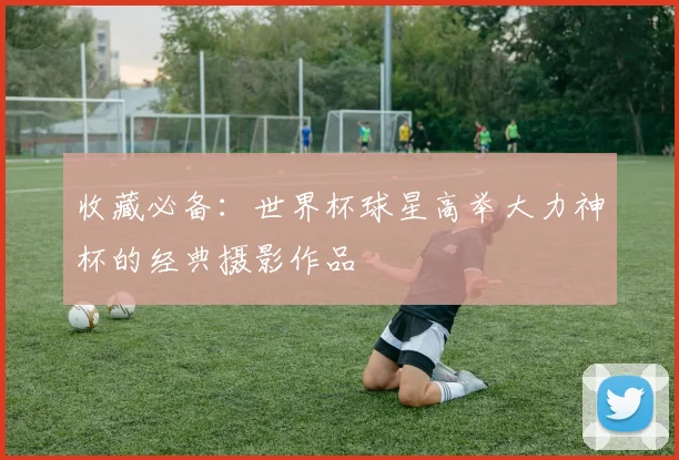 收藏必备：世界杯球星高举大力神杯的经典摄影作品
