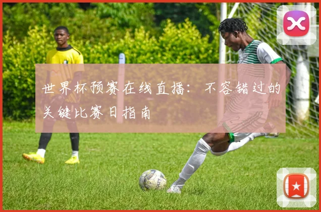 世界杯预赛在线直播：不容错过的关键比赛日指南