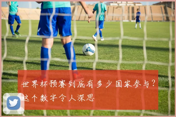 世界杯预赛到底有多少国家参与？这个数字令人深思
