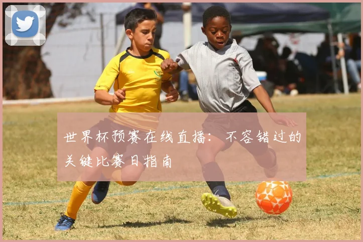 世界杯预赛在线直播：不容错过的关键比赛日指南